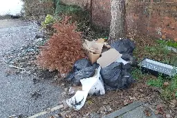 Warning over Christmas fly-tipping after Bedford woman fined almost £1,000