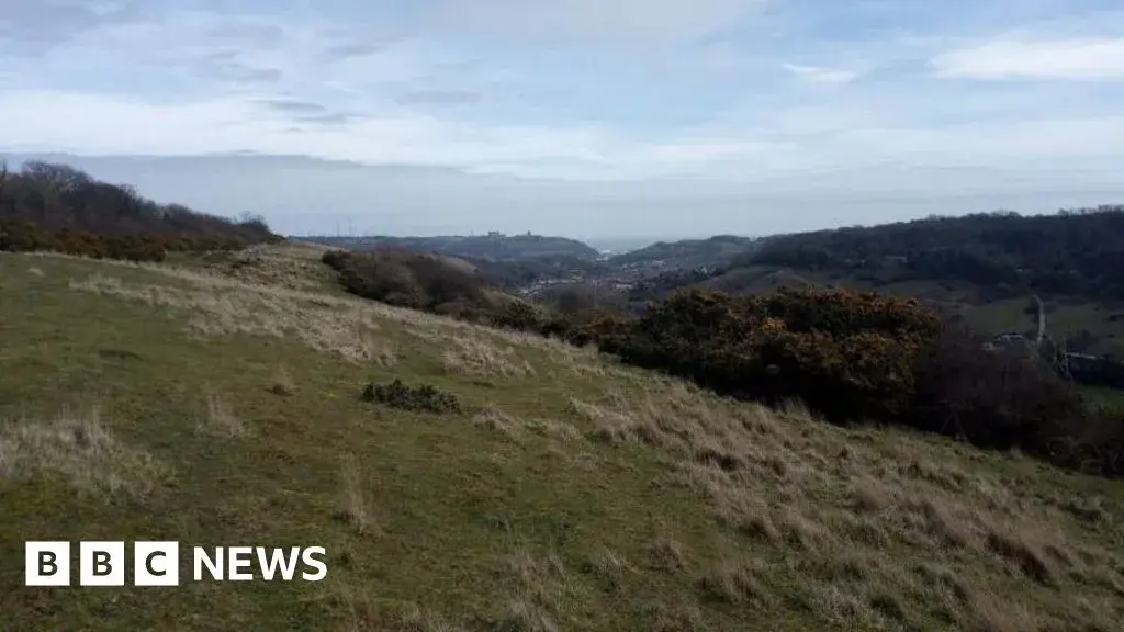 Dover: Chalk grassland restoration to create habitats