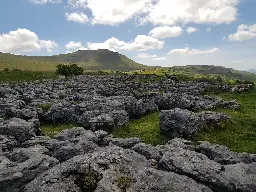 New study reveals half a century of change on Britain’s iconic limestone pavements   - Lancaster University