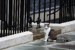 Downing Street draws up plans to announce death of Larry the cat