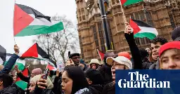 Ministers consider ban on MPs engaging with pro-Palestine and climate protesters