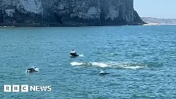 Boat trippers capture playful dolphins near Bridlington