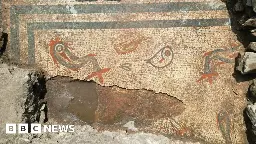 Hidden mosaic discovered at Wroxeter Roman site