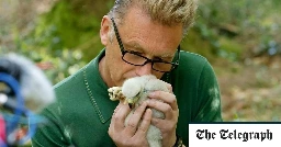 Chris Packham’s ‘instinctive’ bird sniffing is not a crime, police say