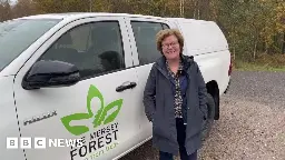 Mersey Forest marks 30 years and nine million new trees