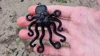 Boy, 13, finds 'holy grail' Lego octopus piece from sea spillage in 1997