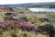 England's largest onshore wind farm in Yorkshire 'would be catastrophic for nature'