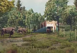 £1 million bridges will allow wild bison to cross footpaths