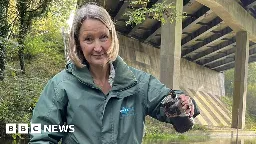 Toxic run-off from roads not monitored, BBC finds