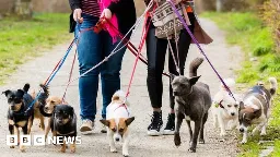 Ban on walking more than six dogs to go ahead