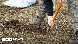 Woodland Trust: Charity urges more tree planting across South East