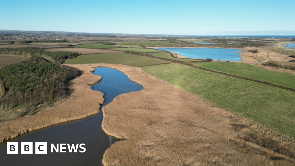 Northumberland habitat restoration work gets £750k boost