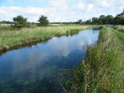 Nature charities urge UK Government ministers to protect globally rare chalk streams in planning reform | Hampshire and Isle of Wight Wildlife Trust