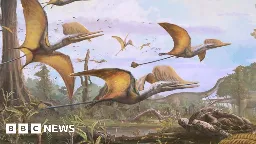 Pterosaur: Unique flying reptile soared above Isle of Skye