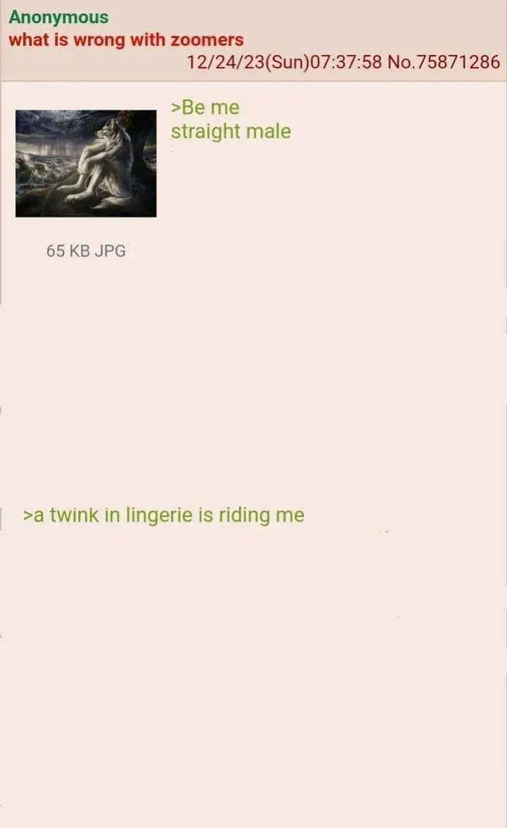 Edited 4chan green text. First line reads "Be me straight male", followed by a large gap where text would normally be, then finally "a twink in lingerie is riding me".