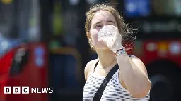 Climate change: Last year's UK heatwave 'a sign of things to come'