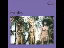 The Slits- I Heard It Through The Grapevine