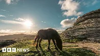 Dartmoor wild camping to resume after appeal win