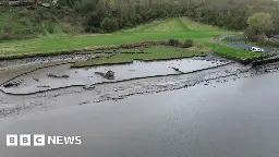 Saltmarshes to be restored on rivers Tyne and Wear