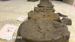Fossils of Jurassic sea creature found in city quarry