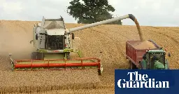 Harvest in England the second worst on record because of wet weather