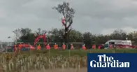 Ancient pear tree comes back to life after being felled to make way for HS2