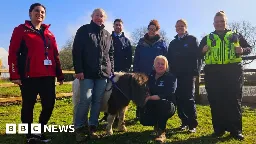 Stolen Shetland pony reunited with owner after eight months