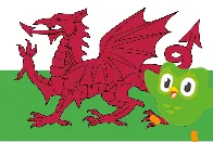 Language learning app Duolingo to mothball Welsh course