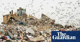 Half a billion cheap electrical items go to UK landfills in a year, research finds