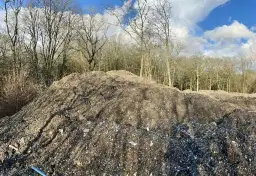 Government ‘must order’ clean-up of woods piled high with rubbish