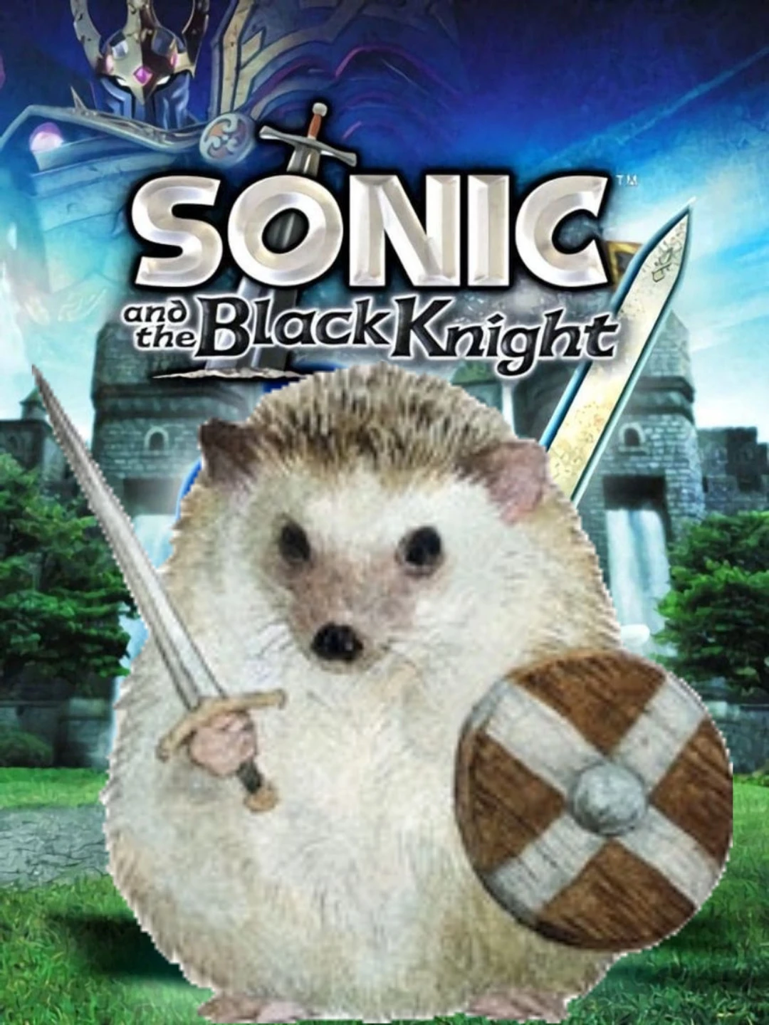 The cover art for the videogame Sonic and the Black Knight but Sonic is an actual hedgehog holding a pointy sword and a wooden shield