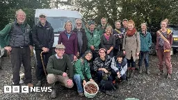 More than 5,000 acorns picked at ancient woodland