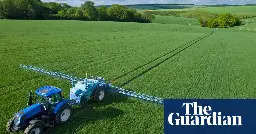 Revealed: Far higher pesticide residues allowed on food since Brexit