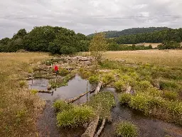 A new flow: pioneering UK river restoration declared a success