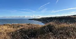 Rare County Durham coastal habitat to be restored thanks to £1m funding boost