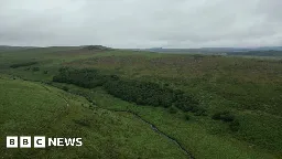 Royal Marine loses unloaded rifle on Dartmoor during exercise