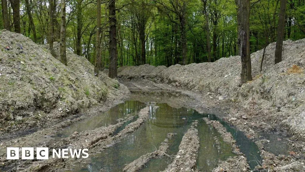 Kent: Illegal waste could remain in woodland until 2026