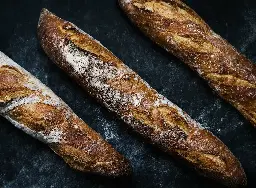 Bread over Bitcoin? Hacking group asks for $125,000 ransom to be paid in baguettes | TechSpot