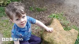 Boy and grandad find dinosaur footprint in Irchester