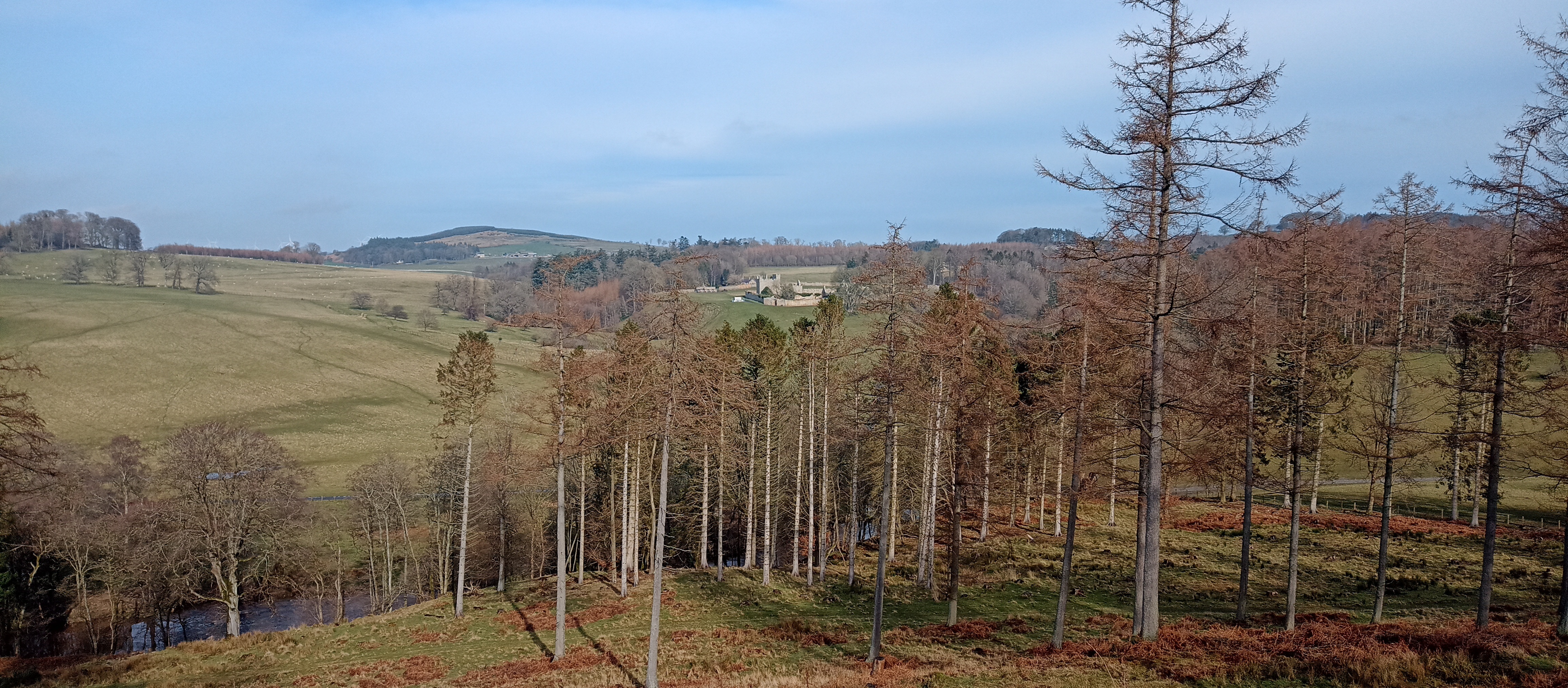 Hulne Park, a view over a valley to distant trees with a ruin building in the background 