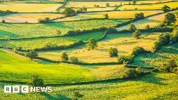 England's hedges would go around Earth ten times