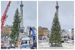 ‘Send it back’: Londoners react to lacklustre Christmas tree in Trafalgar Square