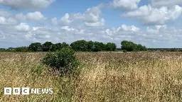 National Trust Sefton land deal to bring 91,000 new trees