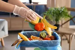 Funding in place to start food waste collections - but council still looking for best options