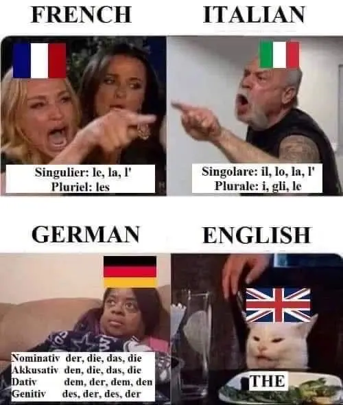 In einem Memme werden die gramatikalischen Artikel von Frankreich, Italien Deutschland und England gegenübergestellt