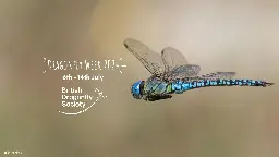 Dragonfly Week - British Dragonfly Society
